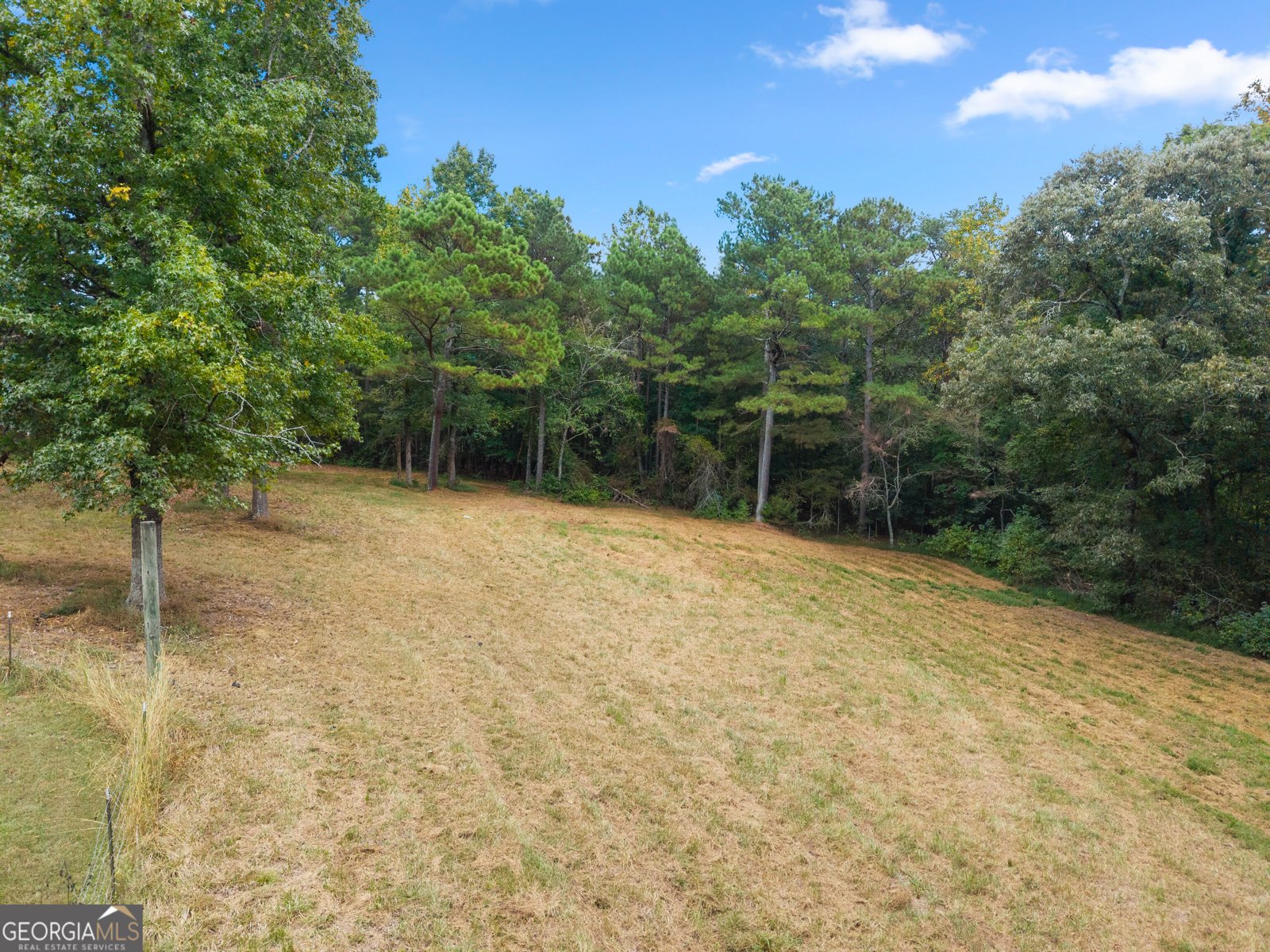 780 Blacks Mill Road Dawsonville - Photo 46