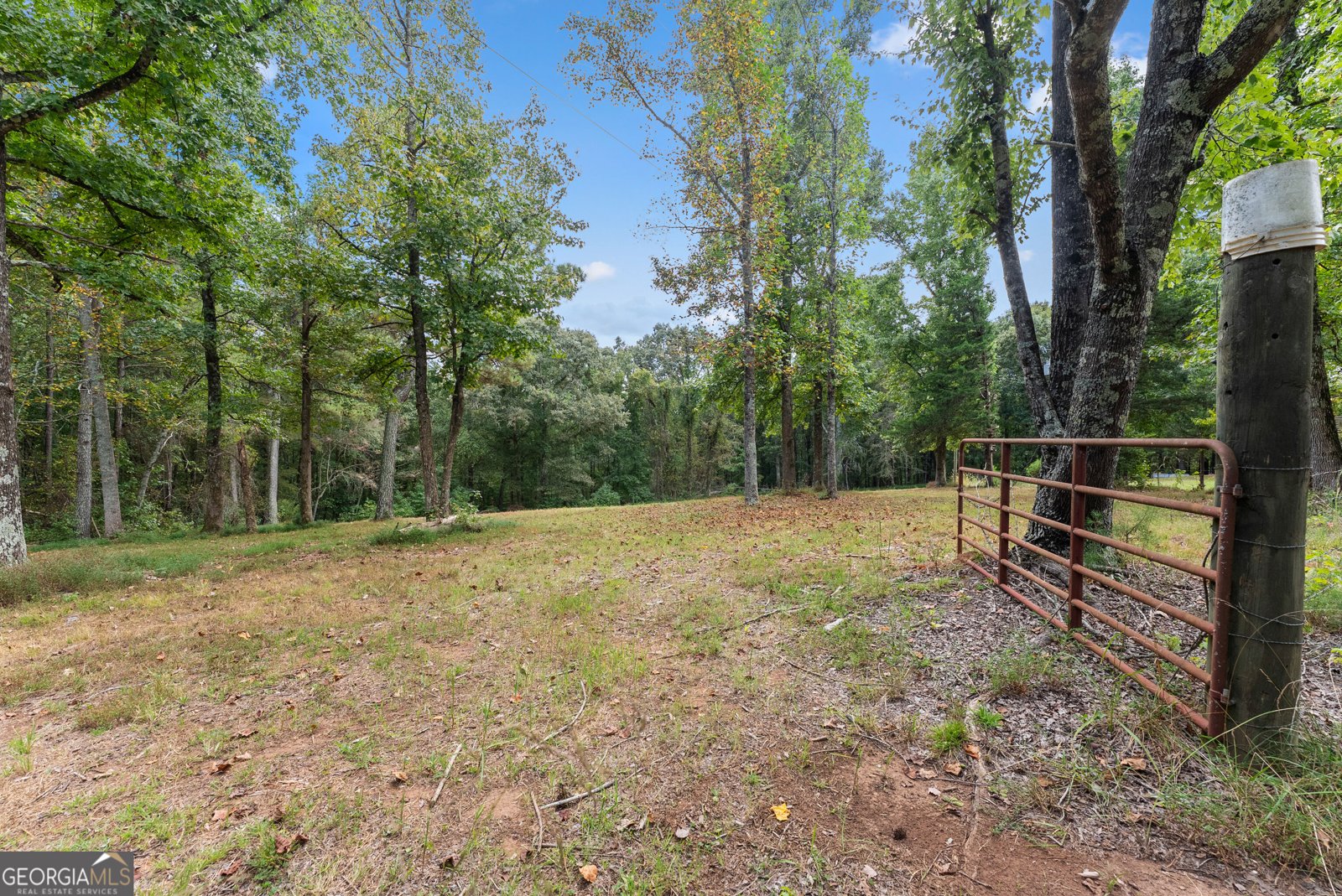780 Blacks Mill Road Dawsonville - Photo 47