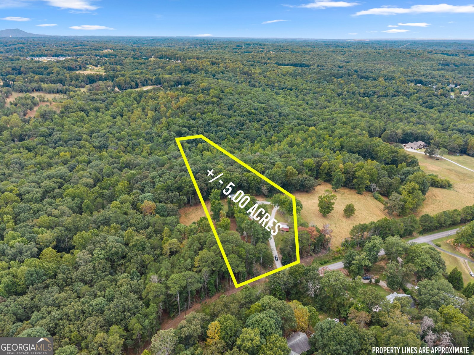 780 Blacks Mill Road Dawsonville - Photo 58