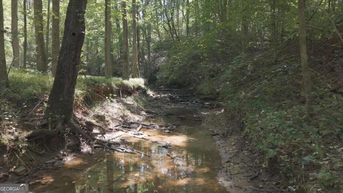 149 Hidden Creek Road Jasper - Photo 60