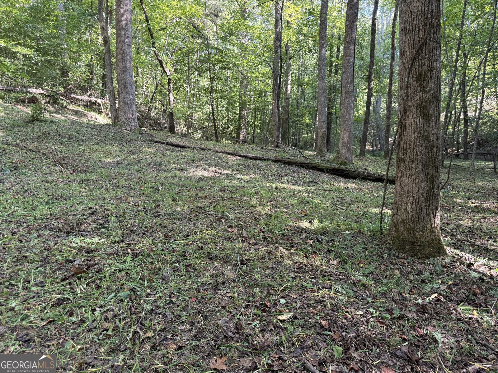 149 Hidden Creek Road Jasper - Photo 74
