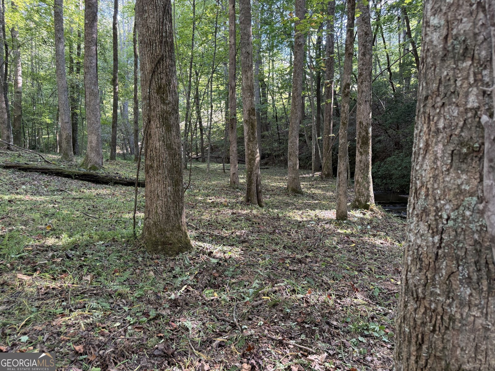 149 Hidden Creek Road Jasper - Photo 75