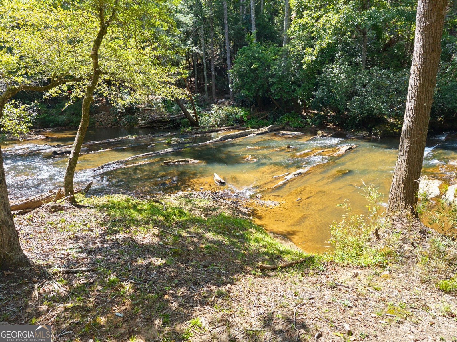 1366 Deer Woods Trail Cleveland - Photo 59