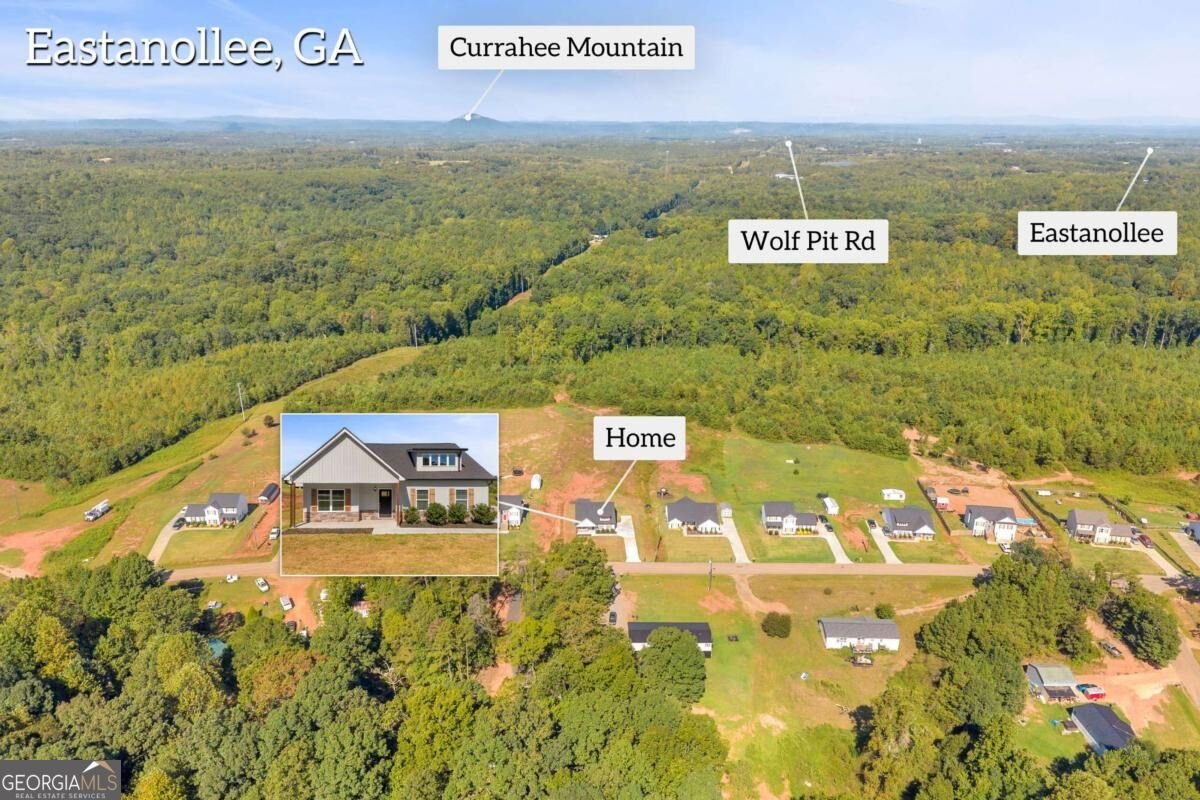 1177 Dortch Road Eastanollee - Photo 34