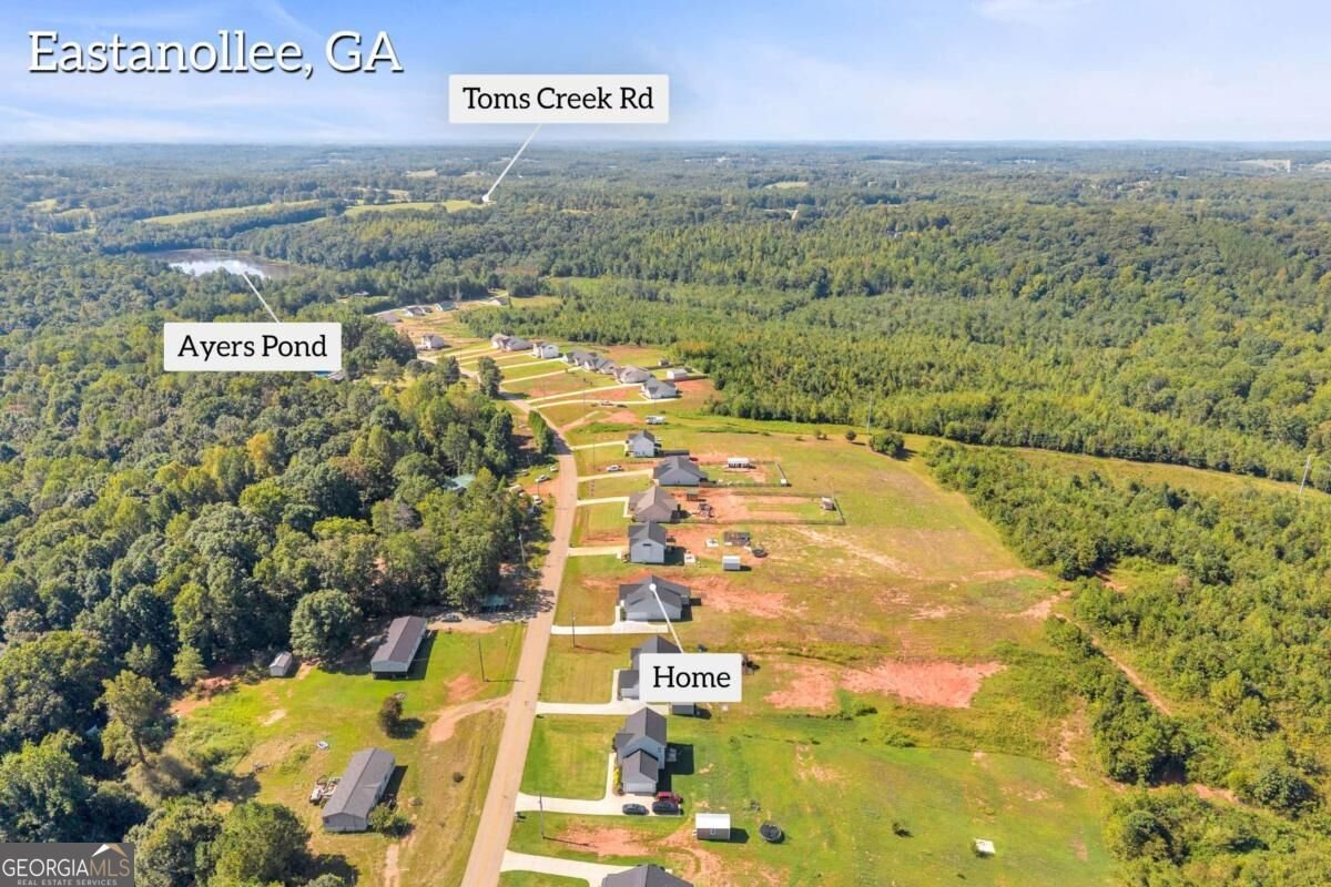 1177 Dortch Road Eastanollee - Photo 35