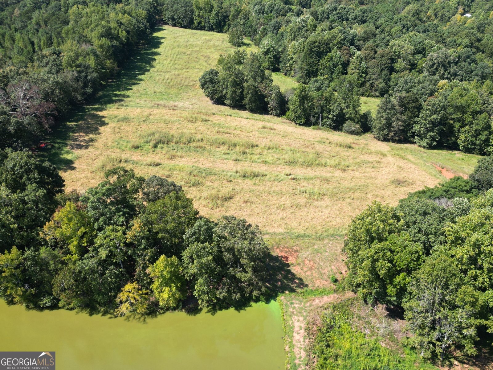 425 Vineyards Creek Church Road comer - Photo 41