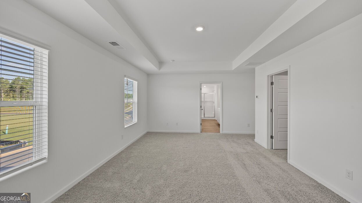 22 Canyon Ferry Way Hoschton - Photo 18