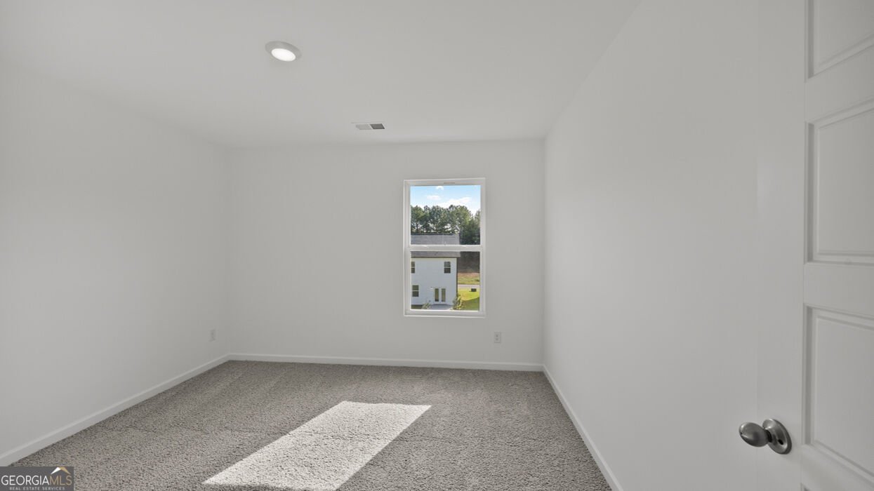 22 Canyon Ferry Way Hoschton - Photo 25