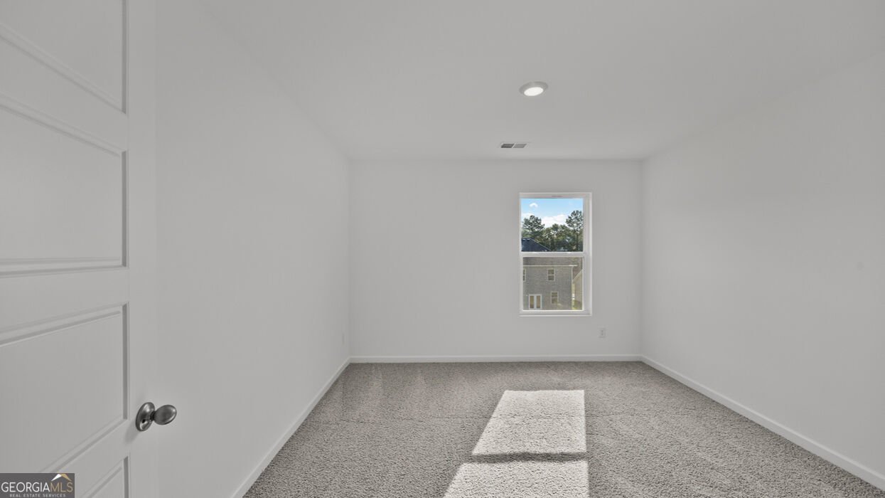 22 Canyon Ferry Way Hoschton - Photo 26