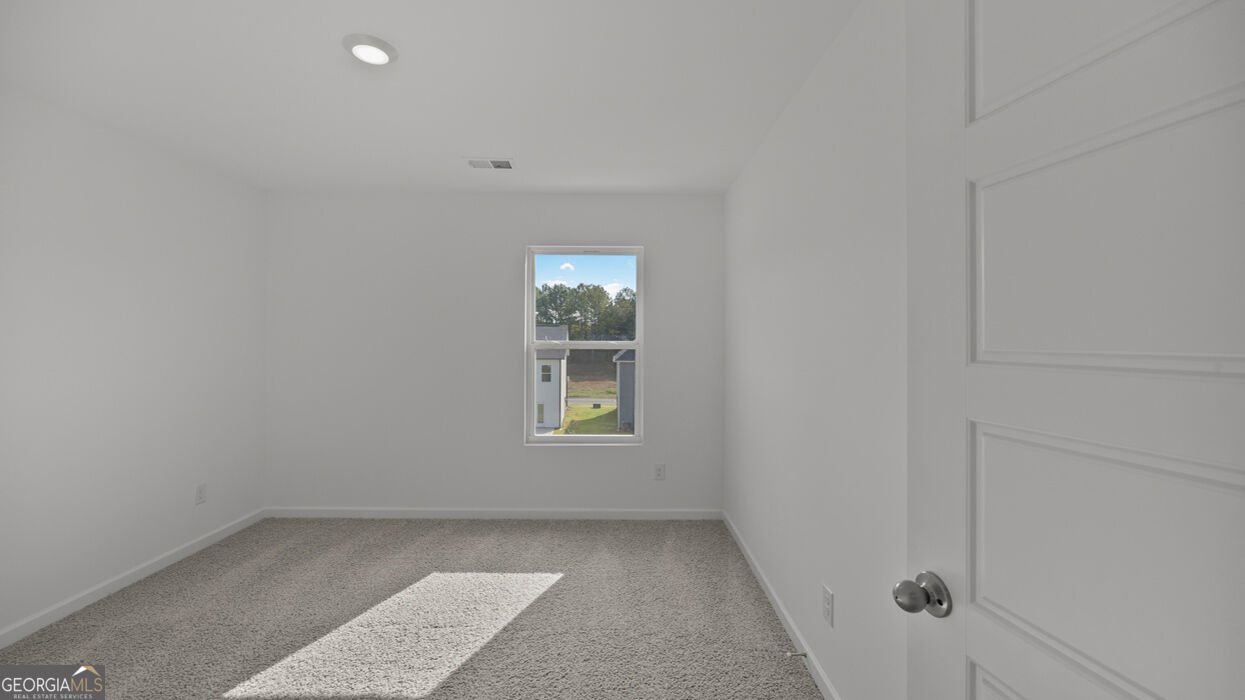 22 Canyon Ferry Way Hoschton - Photo 28