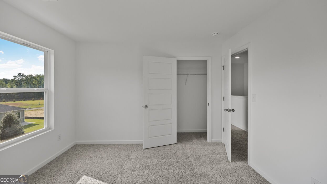 22 Canyon Ferry Way Hoschton - Photo 29