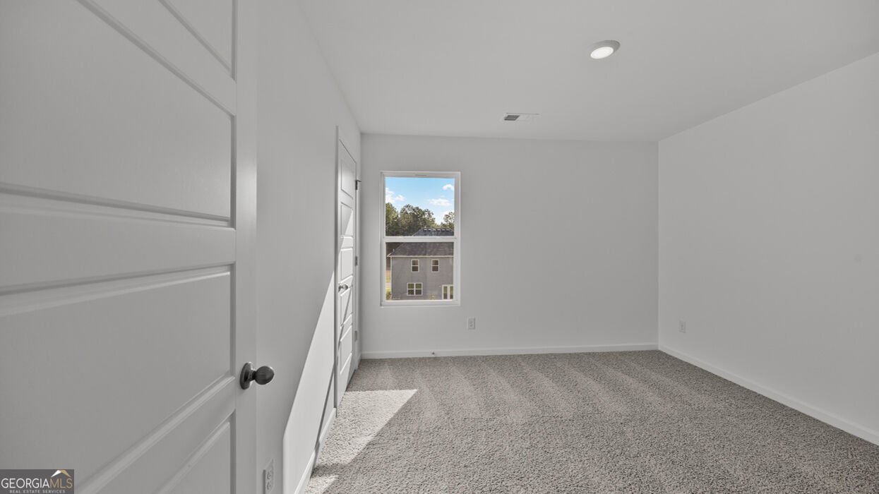 22 Canyon Ferry Way Hoschton - Photo 30