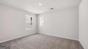 48 Canyon Ferry Way Hoschton - Photo 30