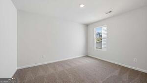 48 Canyon Ferry Way Hoschton - Photo 31