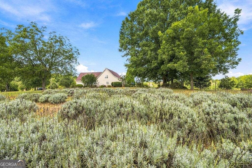 442 Buffalo Creek Road Carrollton - Photo 100