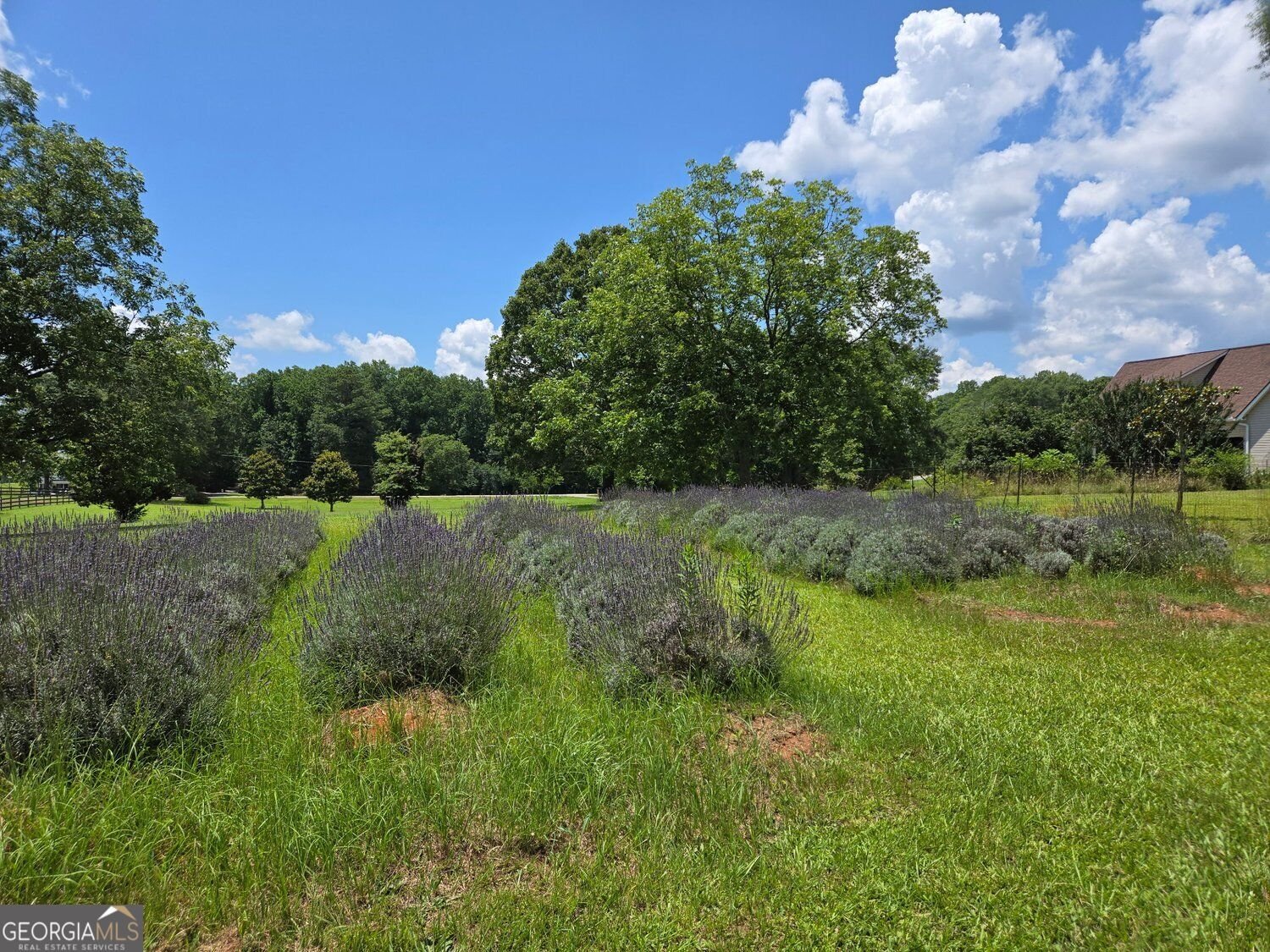 442 Buffalo Creek Road Carrollton - Photo 103