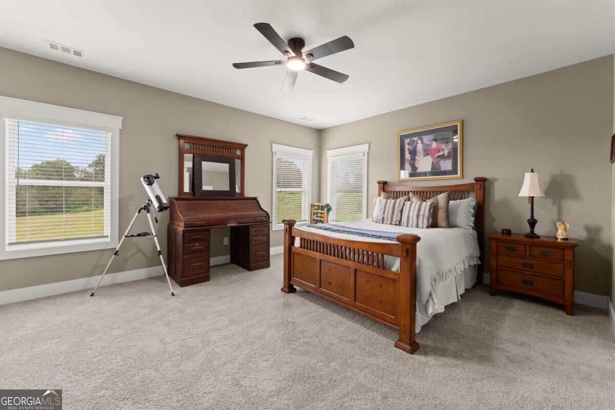 344 Gold Bullion Drive Dawsonville - Photo 37