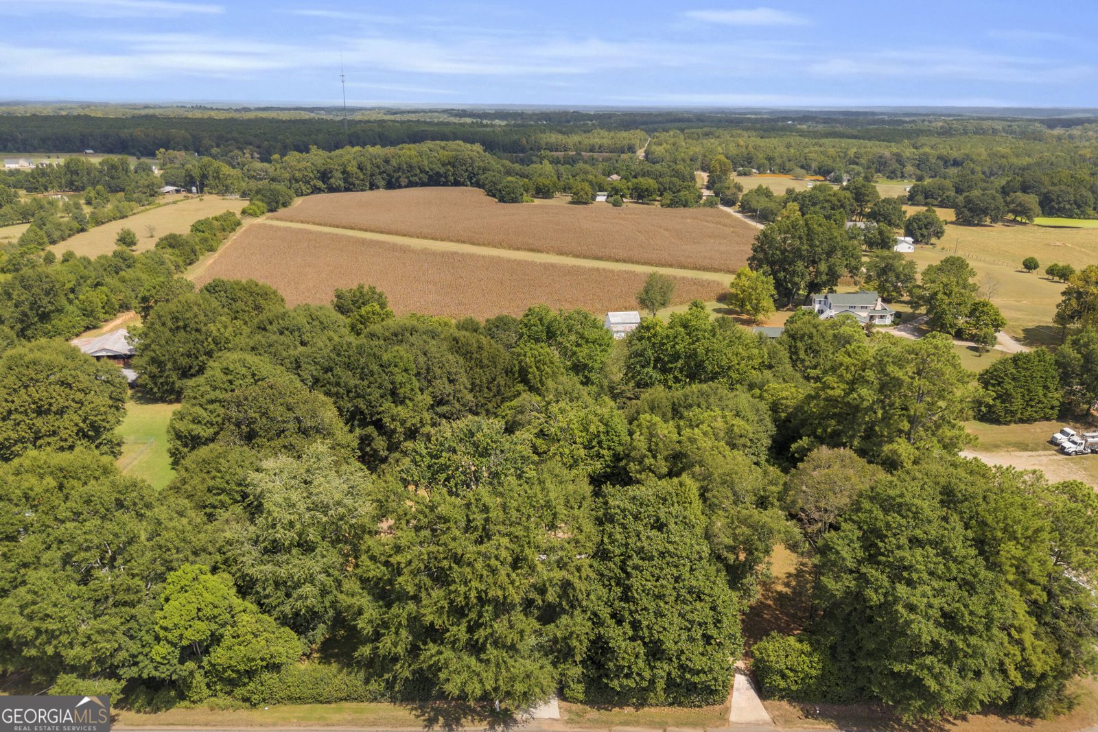 921 Highway 72 Comer - Photo 72