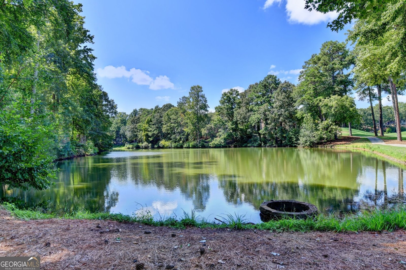 1090 Matheson Way Johns Creek - Photo 107