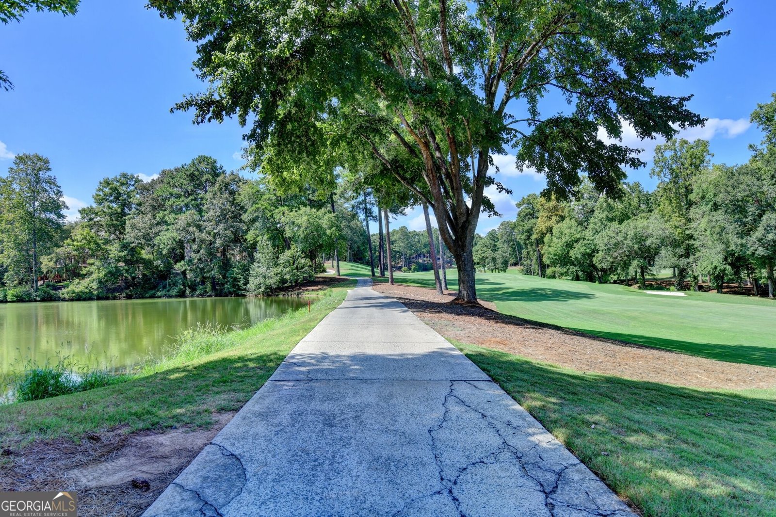 1090 Matheson Way Johns Creek - Photo 109