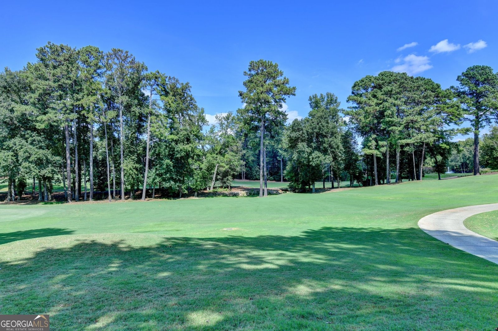 1090 Matheson Way Johns Creek - Photo 110