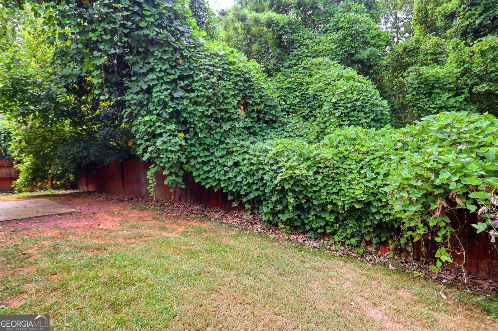 2201 Clayton Ridge Lithonia - Photo 34