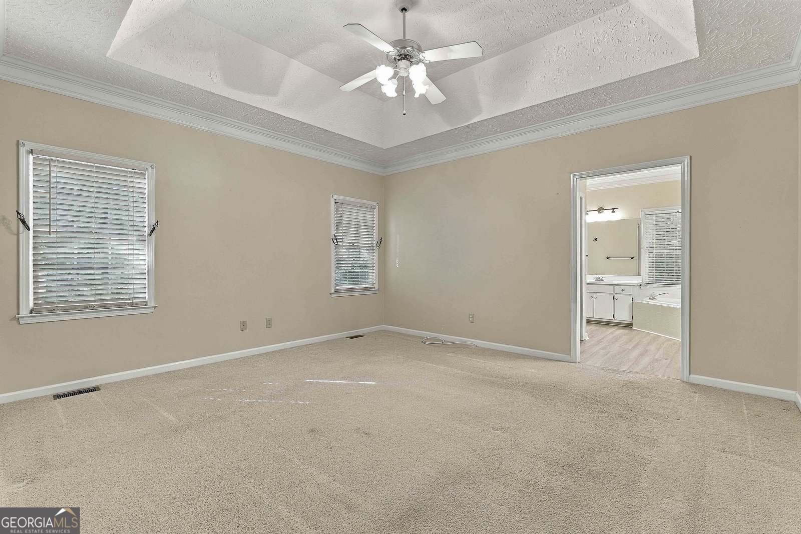 255 Weeping Willow Way Tyrone - Photo 19