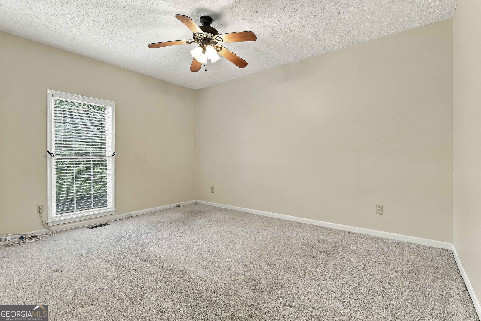 255 Weeping Willow Way Tyrone - Photo 25