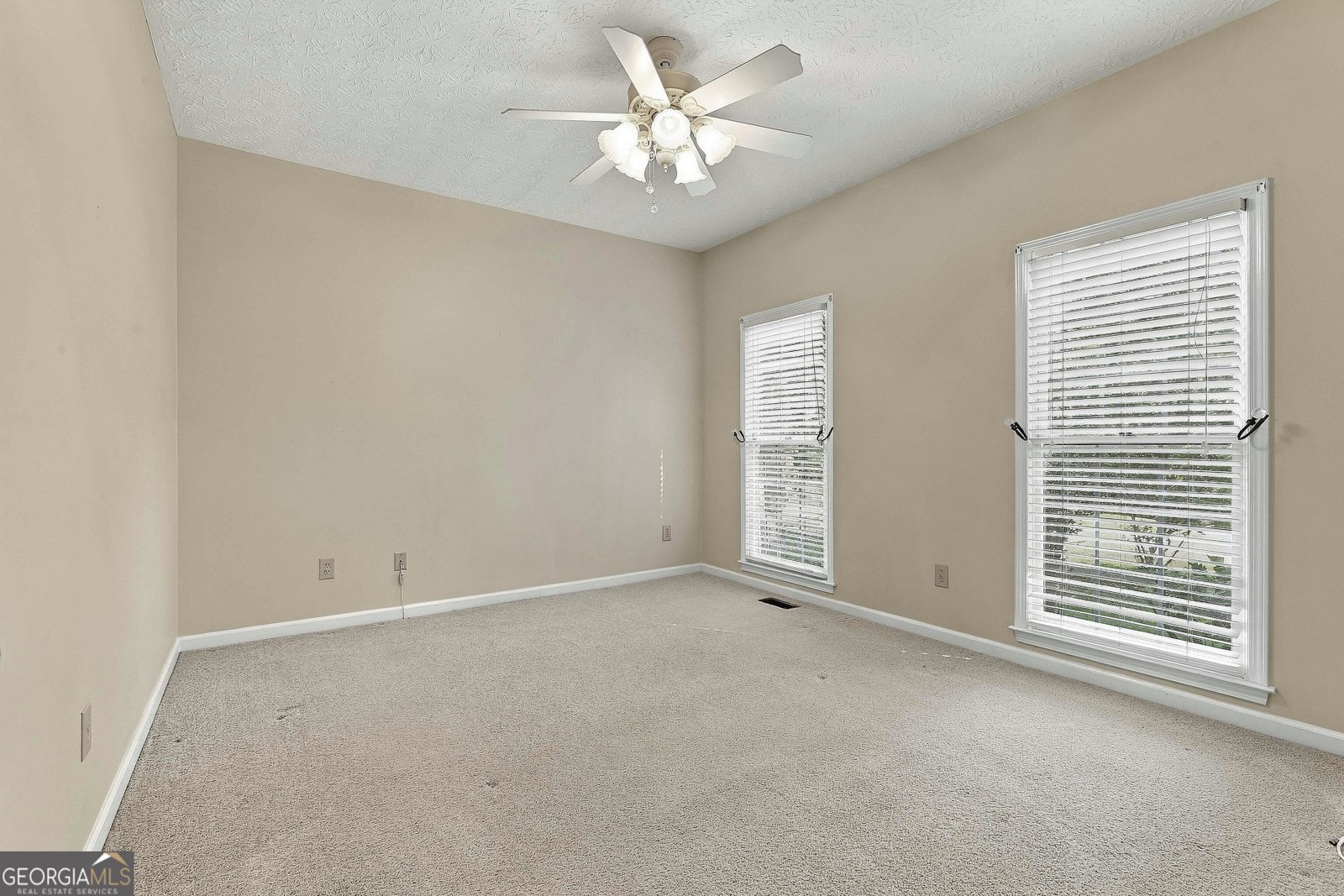 255 Weeping Willow Way Tyrone - Photo 28
