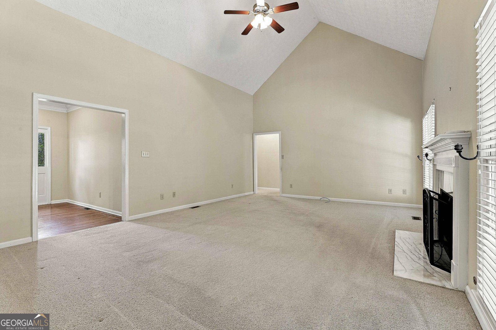 255 Weeping Willow Way Tyrone - Photo 8