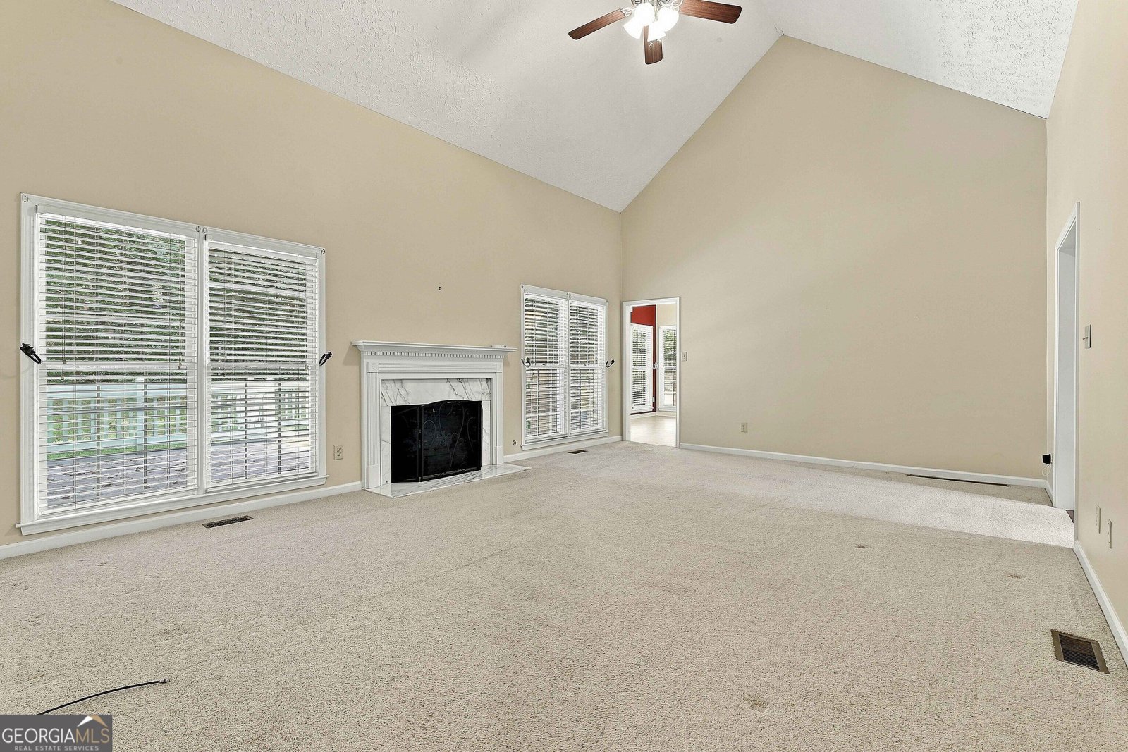 255 Weeping Willow Way Tyrone - Photo 9