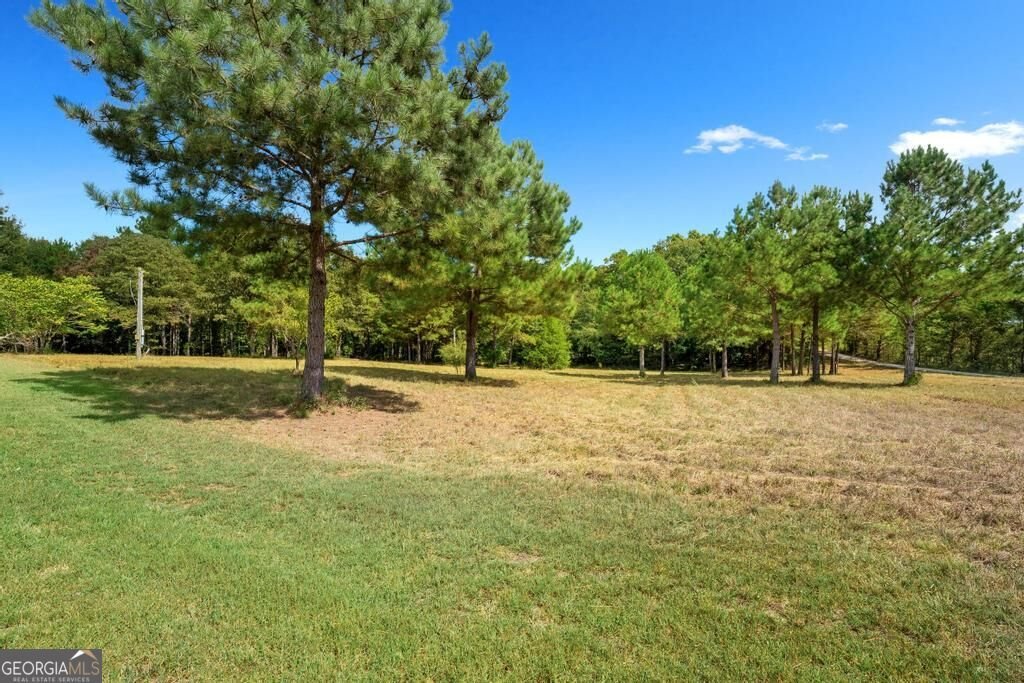 1825 Fork Creek Circle Bowman - Photo 34