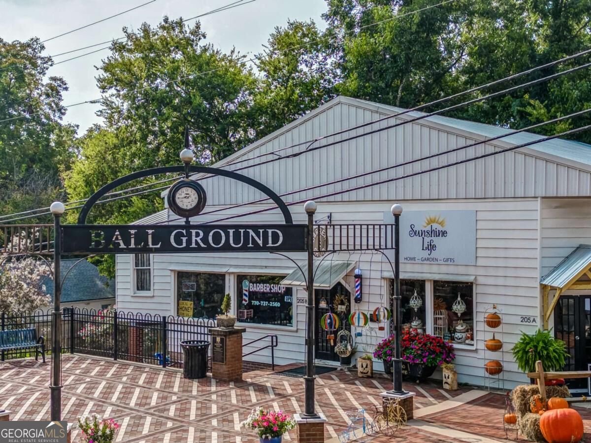 185 Northridge Road Ball Ground - Photo 43