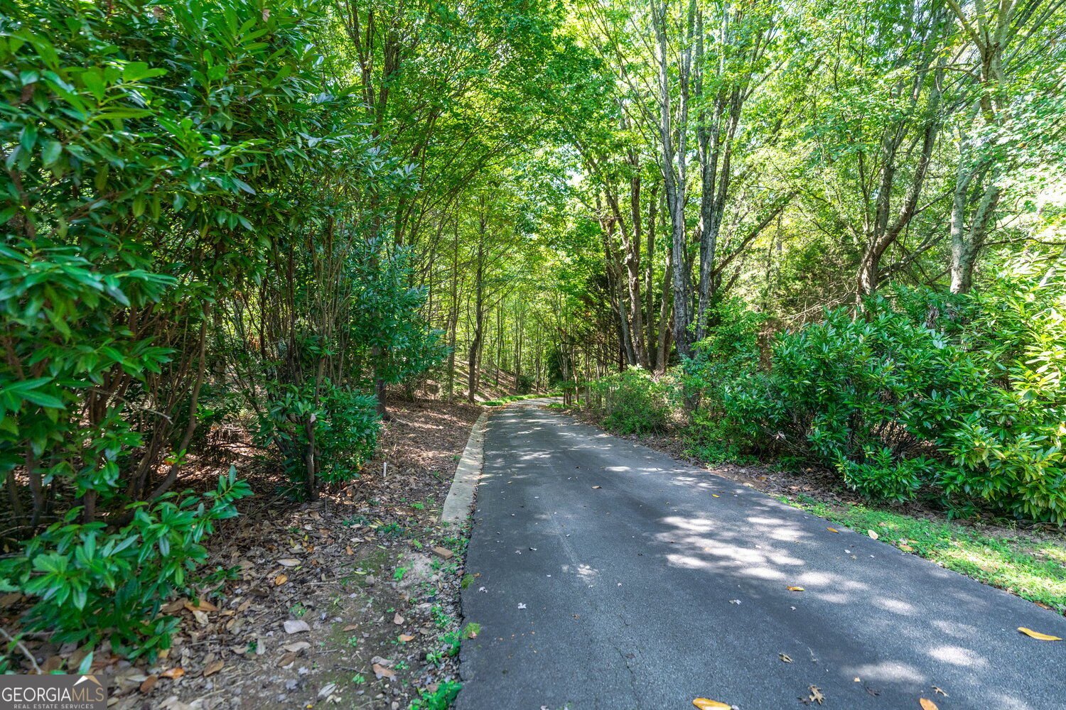5030 Highland Ridge Run Gainesville - Photo 65