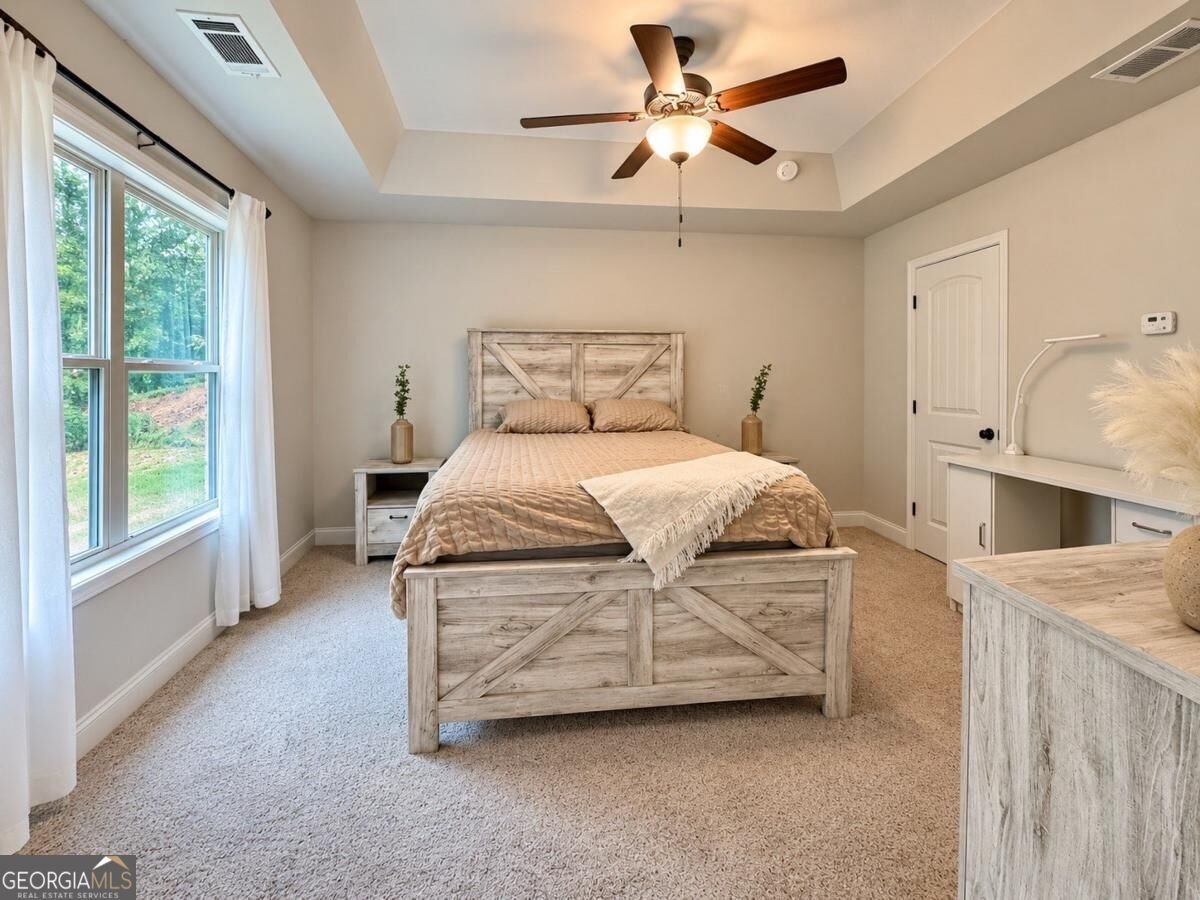 115 BROOKSIDE CT Lula - Photo 9