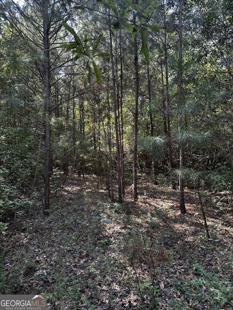 782 Sparta Highway Eatonton - Photo 9