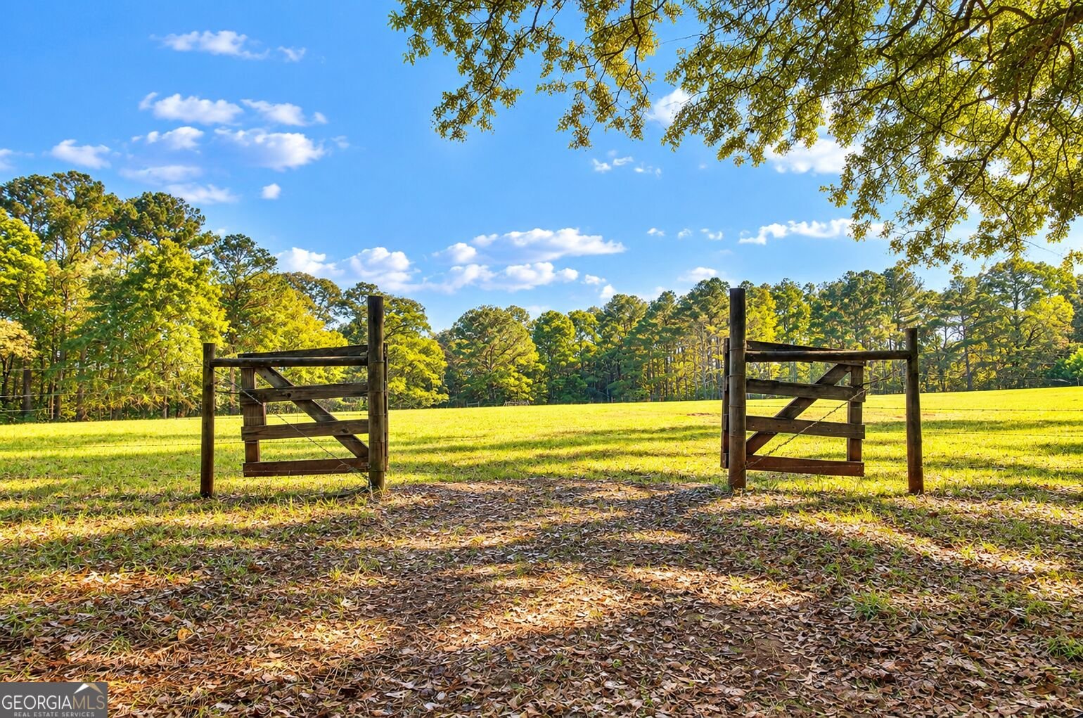 1311 Copeland Road Shiloh - Photo 63