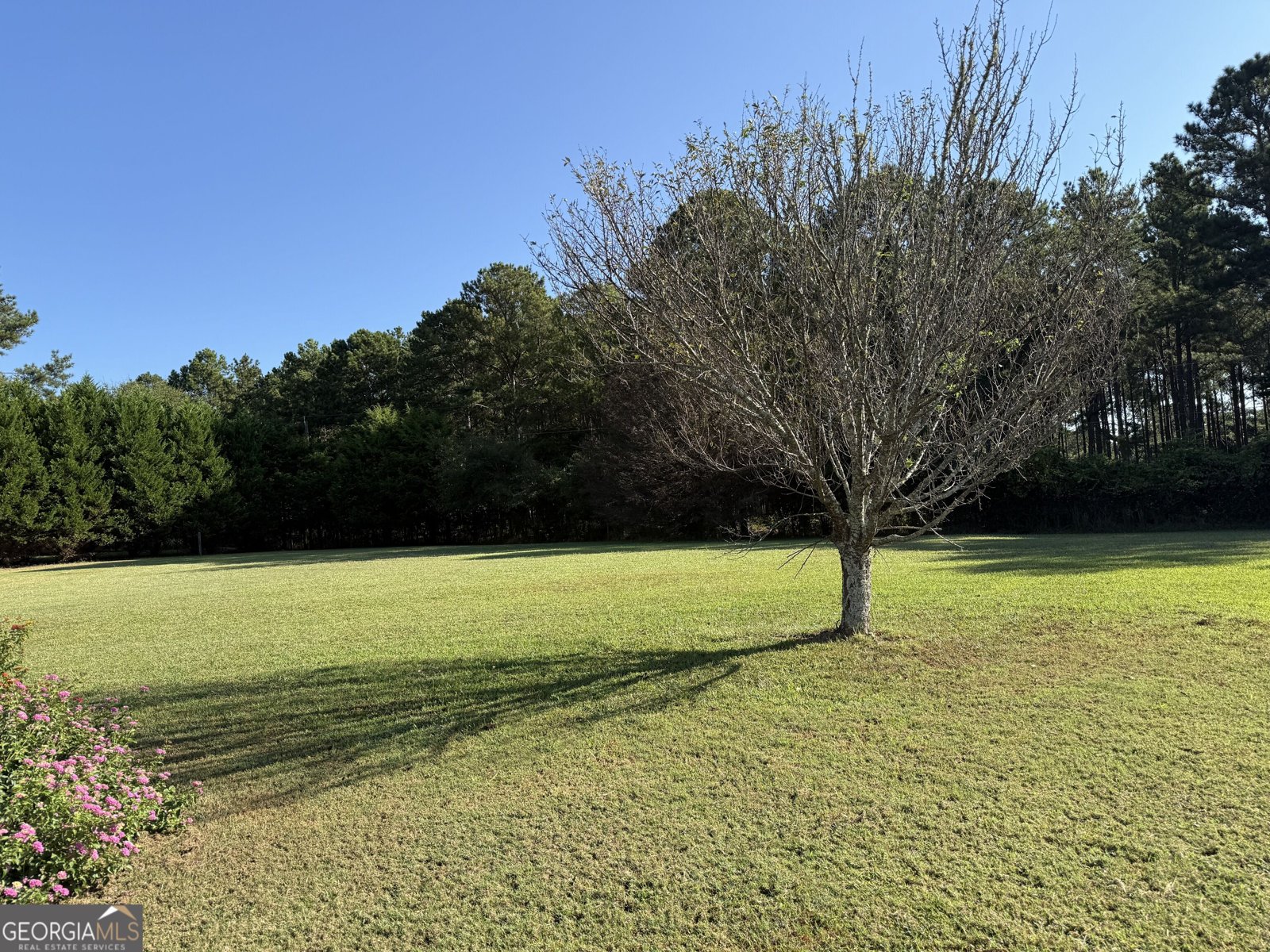 1311 Copeland Road Shiloh - Photo 72