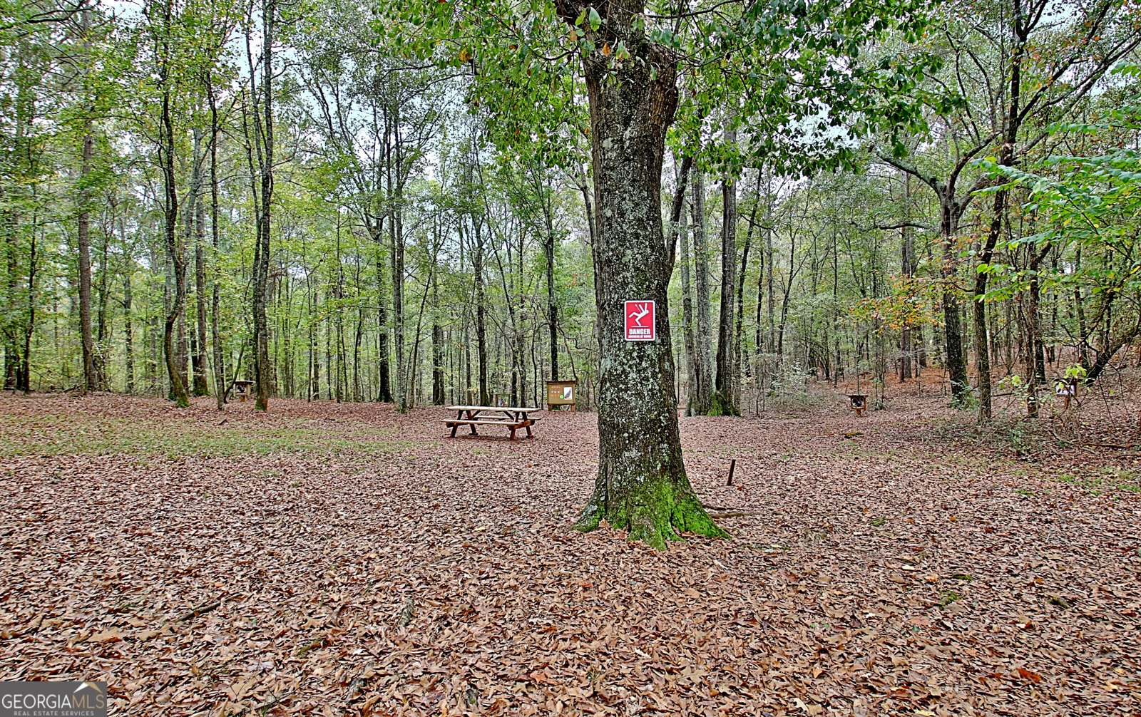 1311 Copeland Road Shiloh - Photo 73
