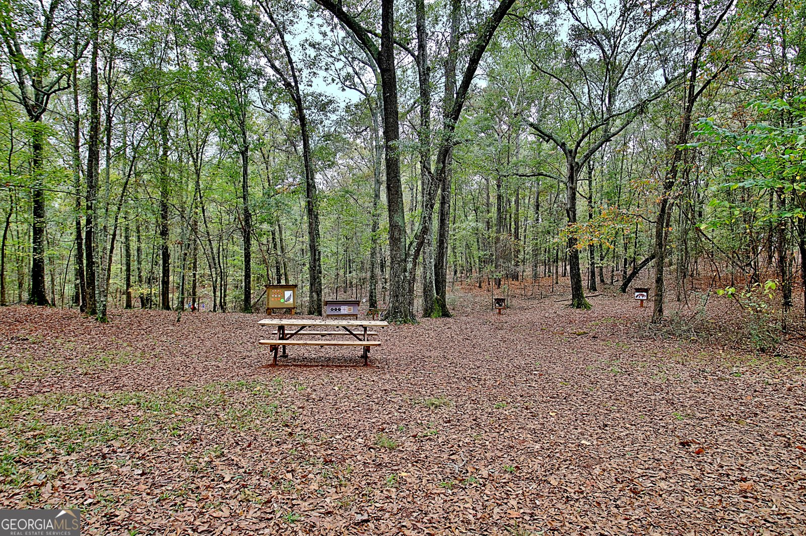 1311 Copeland Road Shiloh - Photo 75