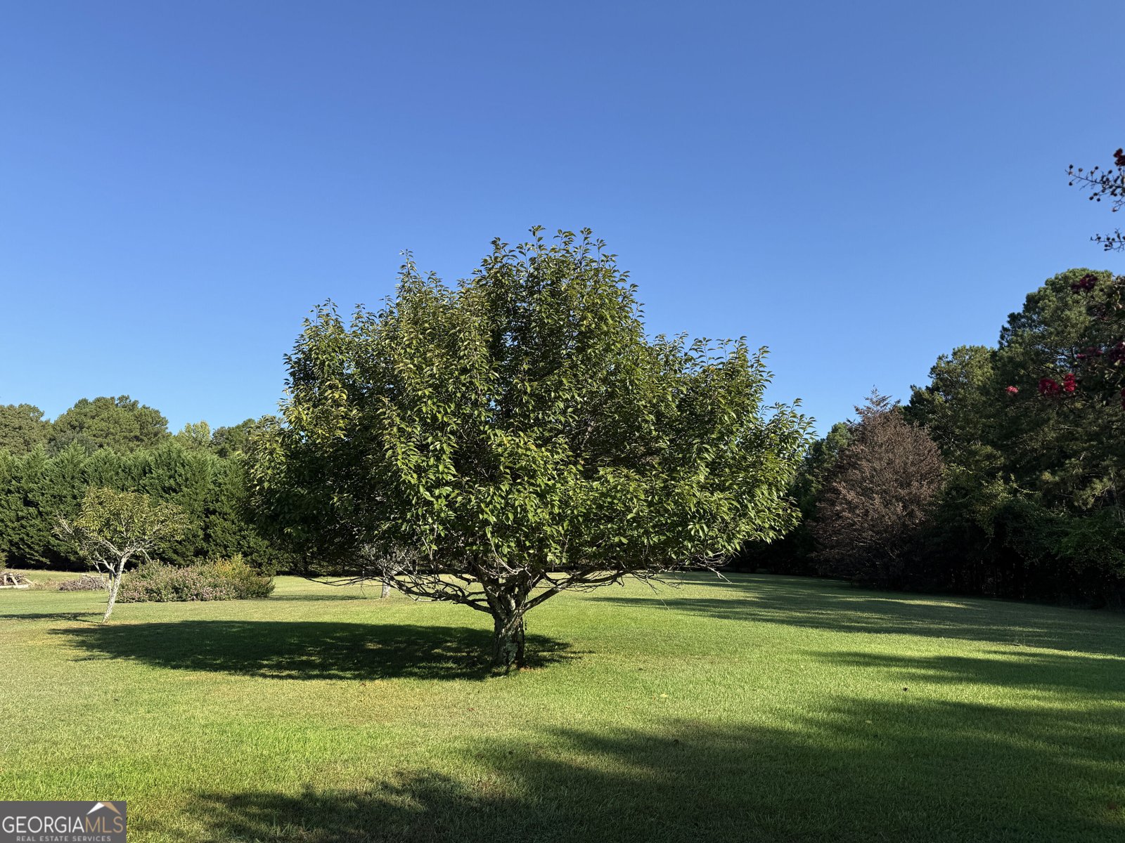 1311 Copeland Road Shiloh - Photo 77