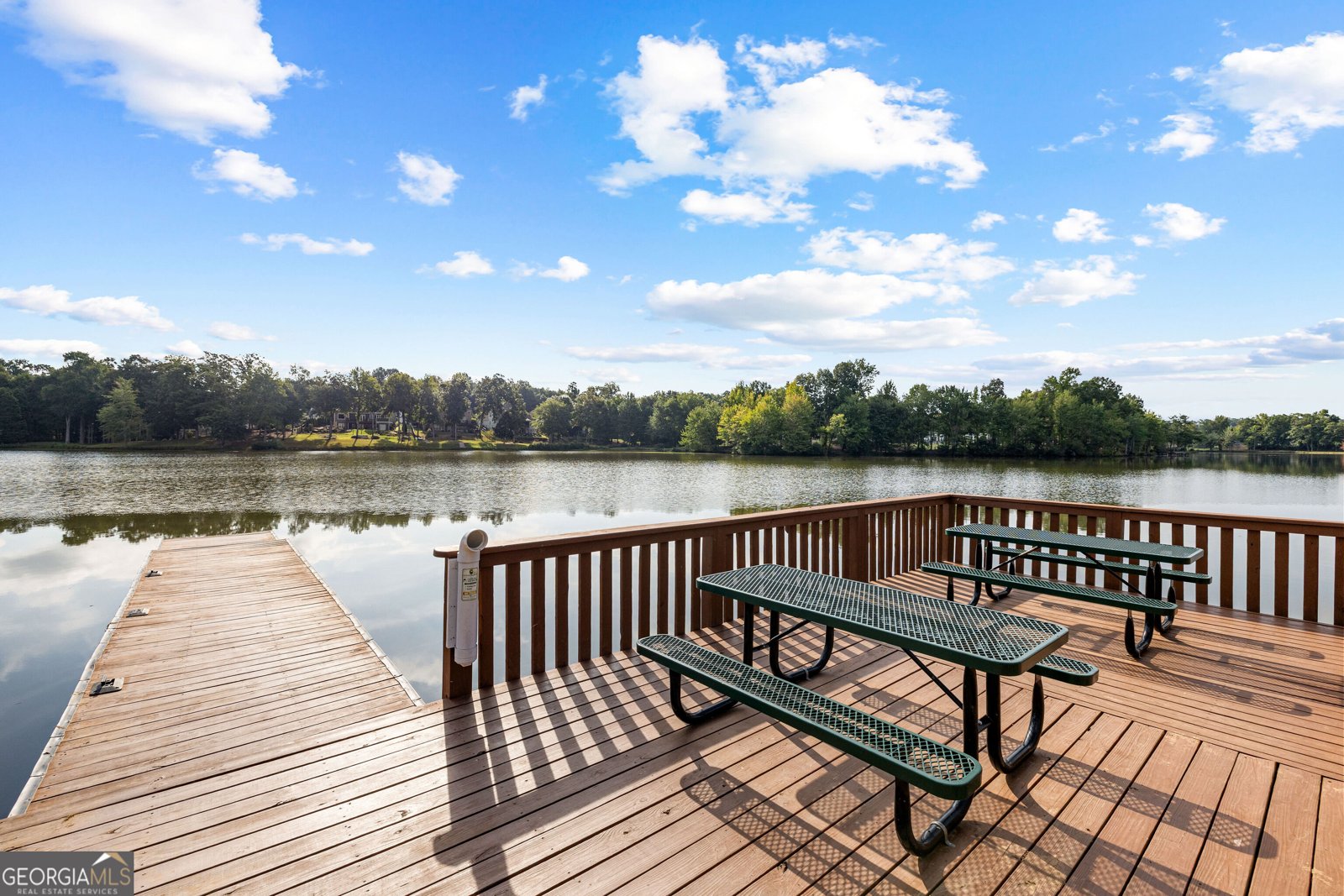 260 Lake Forest Drive Newnan - Photo 92