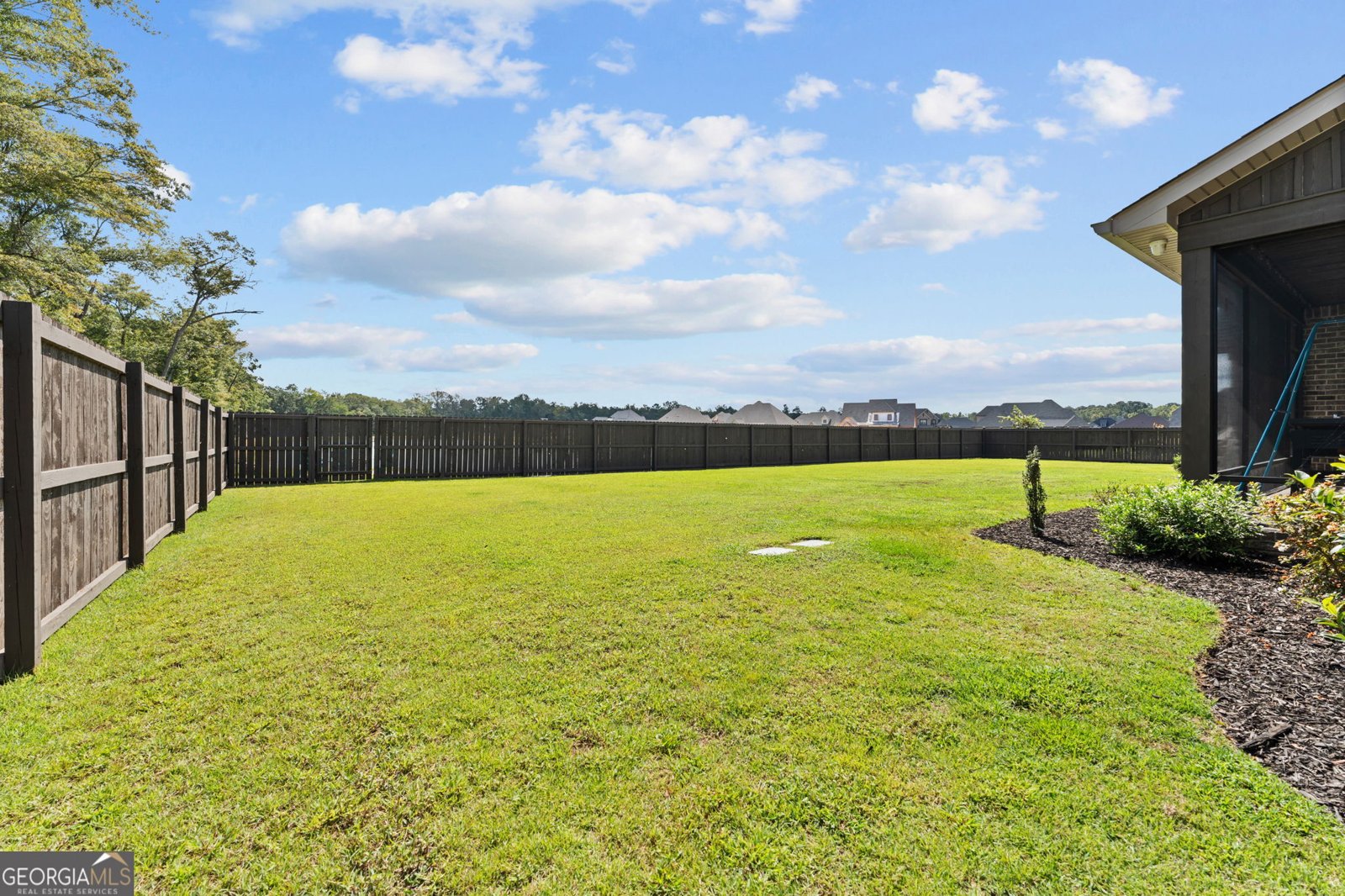 223 Bristleleaf Path Kathleen - Photo 59