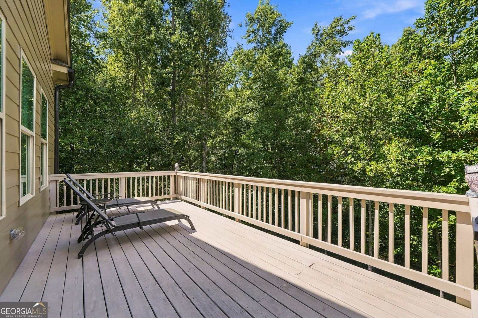 111 Cadence Trail Canton - Photo 46