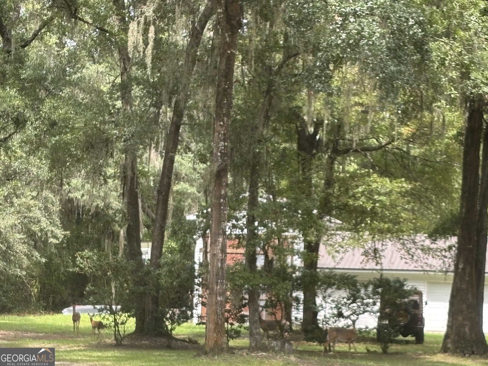 134 Spirit Lane Brunswick - Photo 37