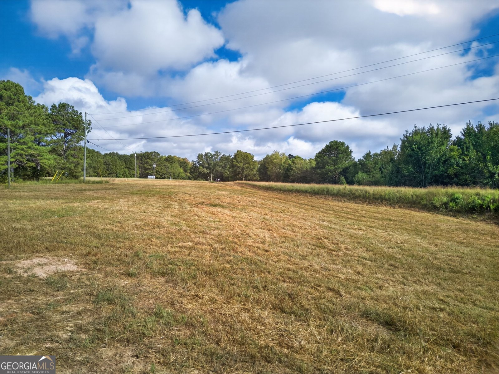 3795 100 Highway Bowdon - Photo 27