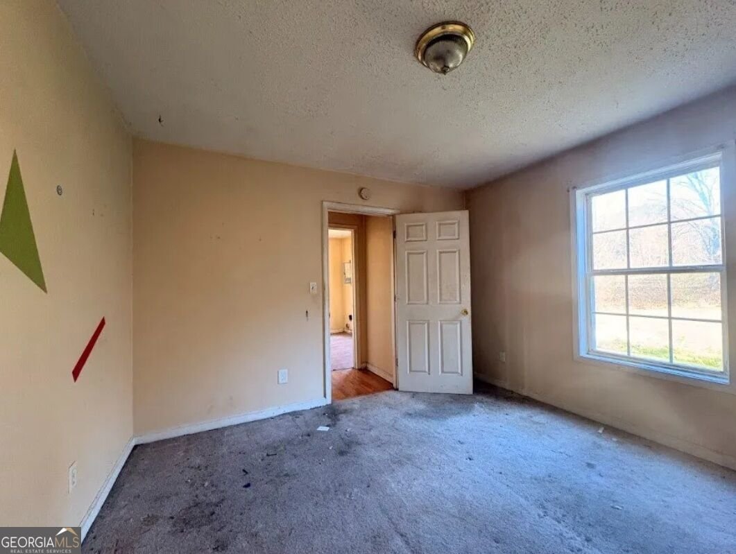 17 Collins Road Carrollton - Photo 18