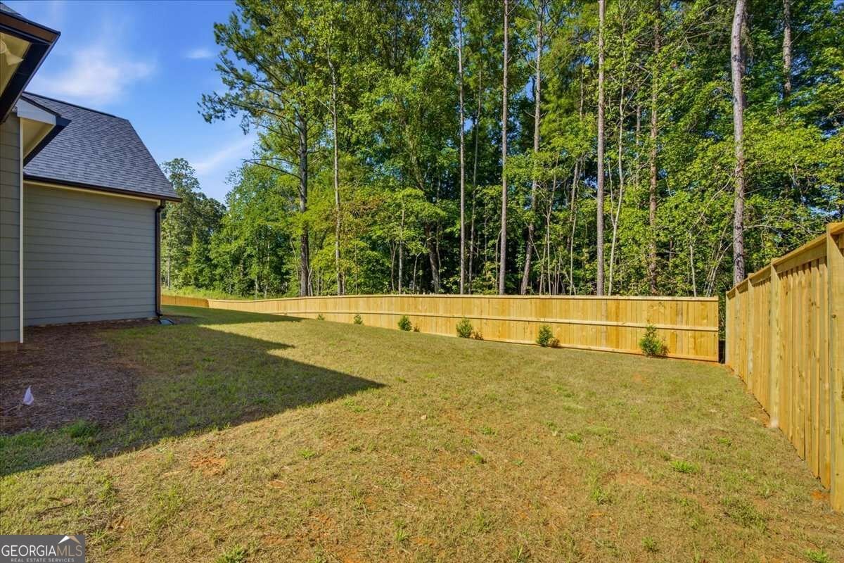 816 Presley Farm Parkway Rockmart - Photo 42