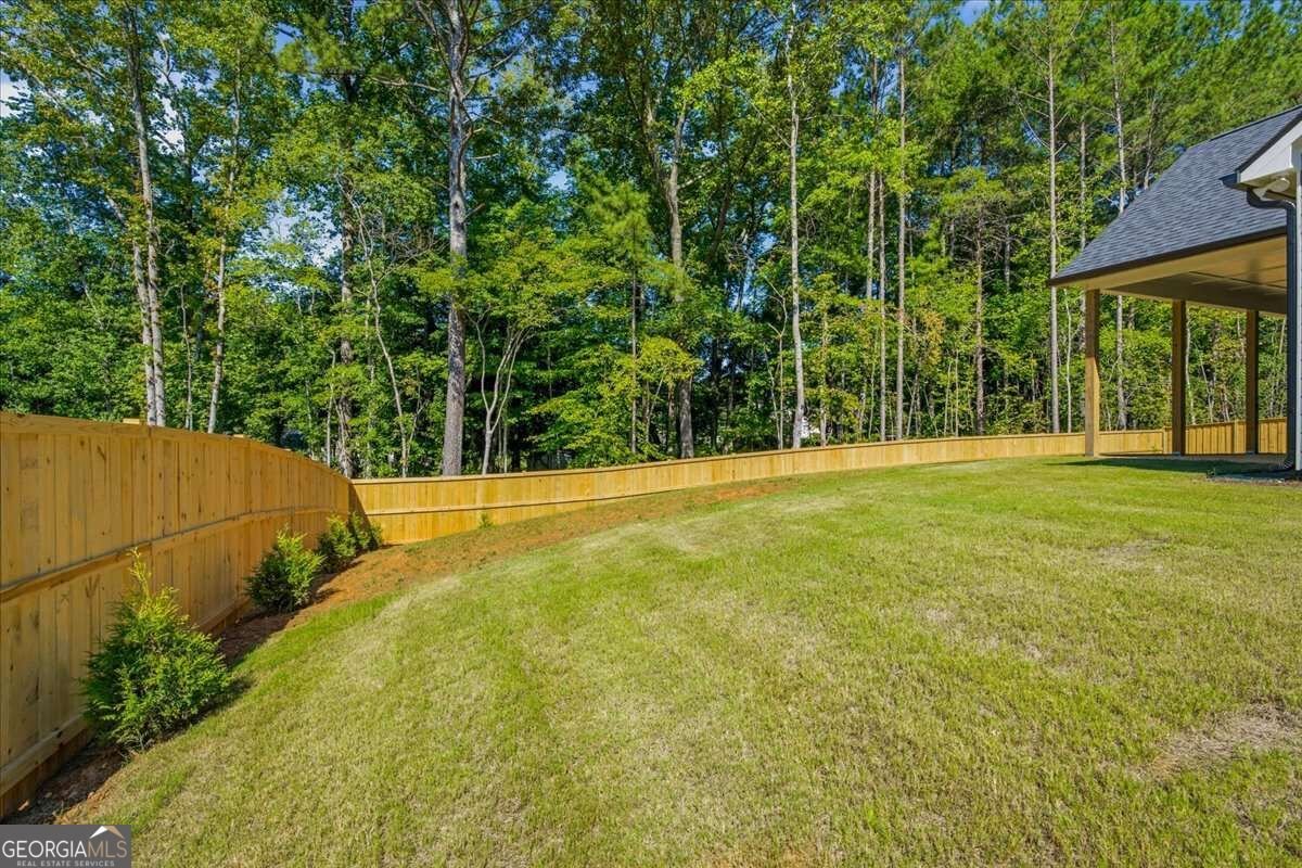 816 Presley Farm Parkway Rockmart - Photo 43