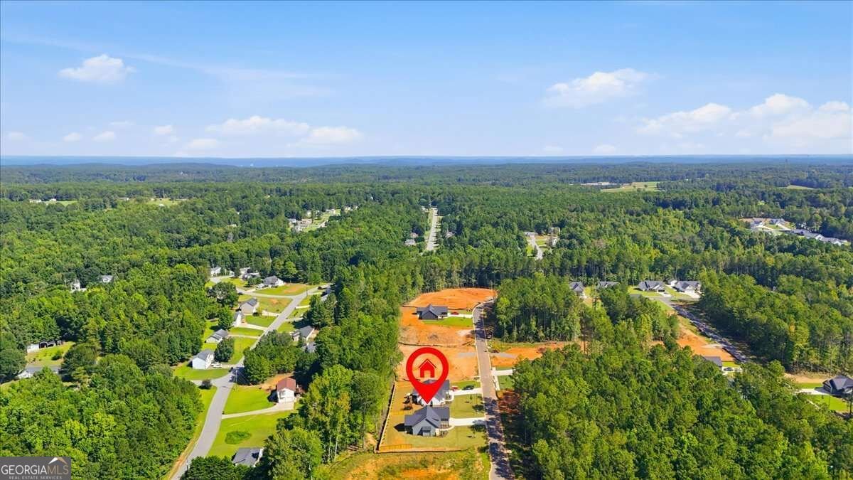 816 Presley Farm Parkway Rockmart - Photo 45
